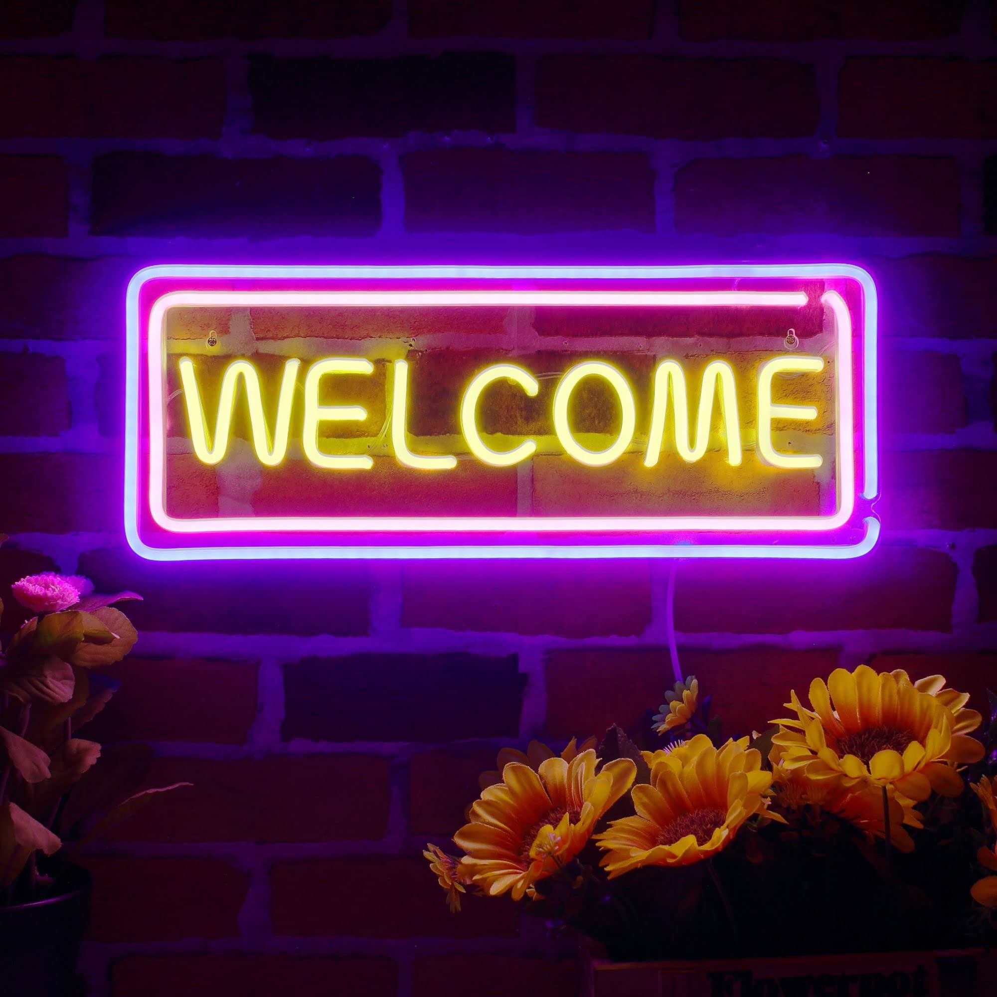 Amazon.com : ADVPRO Welcome Flex Silicone LED Neon Sign - Orange